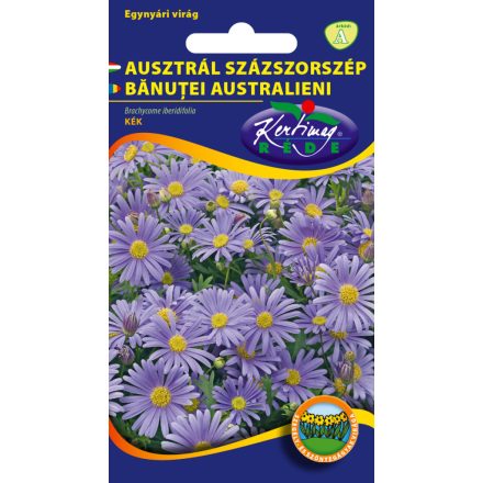 Ausztrál százszorszép mag 