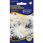 Őszirózsa Tűszirmú virágmag fehér