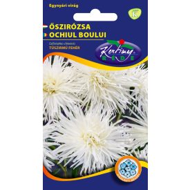 Őszirózsa Tűszirmú virágmag fehér