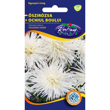 Őszirózsa Tűszirmú virágmag fehér