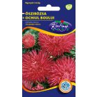 Őszirózsa Tűszirmú virágmag piros