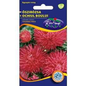 Őszirózsa Tűszirmú virágmag piros