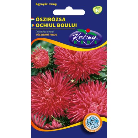 Őszirózsa Tűszirmú virágmag piros