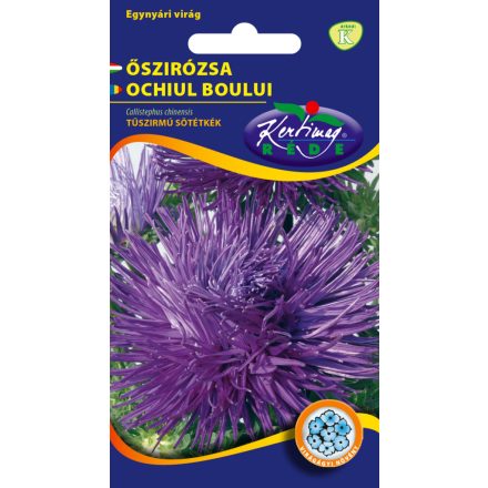 Őszirózsa Tűszirmú  kék virágmag 1g