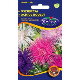 Őszirózsa Tűszirmú virágmag színkeverék