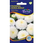 Őszirózsa Prinzess virágú virágmag fehér