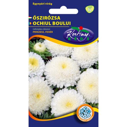 Őszirózsa Prinzess virágú virágmag fehér