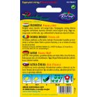 Őszirózsa Prinzess virágú virágmag fehér