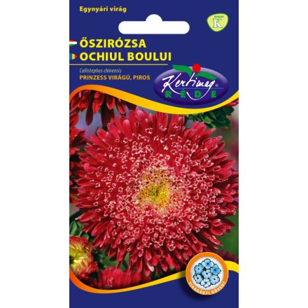Őszirózsa Prinzess virágú virágmag piros