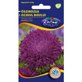 Őszirózsa Prinzess virágú virágmag lila