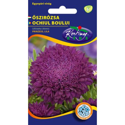 Őszirózsa Prinzess virágú virágmag lila