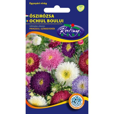Őszirózsa Prinzess virágú virágmag színkeverék