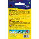 Őszirózsa Prinzess virágú virágmag színkeverék