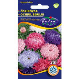 Őszirózsa Teltvirágú virágmag színkeverék