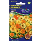 Körömvirág virágmag  Calendula officinalis színkeverék