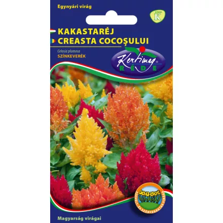 Kakastaréj virágmag Celosia plumosa tollas színkeverék