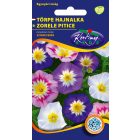 Törpe hajnalka virágmag Convolvulus tricolor színkeverék