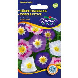 Törpe hajnalka virágmag Convolvulus tricolor színkeverék