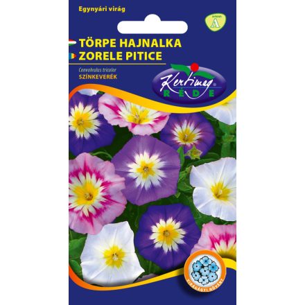 Törpe hajnalka virágmag Convolvulus tricolor színkeverék