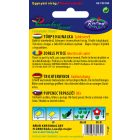 Törpe hajnalka virágmag Convolvulus tricolor színkeverék