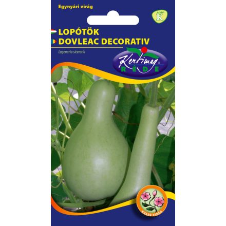 Dísztök mag  Lopótök mag 
