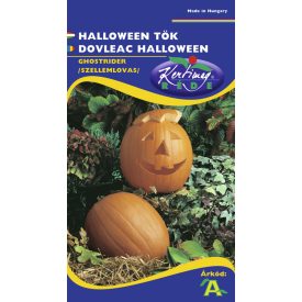 Dísztök mag  Halloween tök mag 