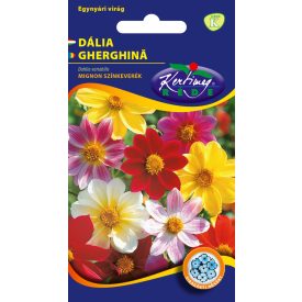 Dália virágmag egyszerű virágú színkeverék