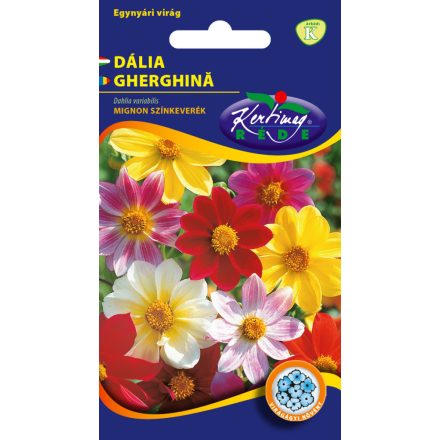 Dália virágmag egyszerű virágú színkeverék