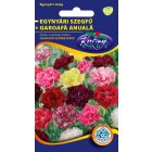 Szegfű virágmag Dianthus Chabaud színkeverék