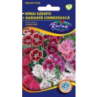 Kínai szegfű virágmag teltvirágú színkeverék