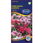 Nyári azalea virágmag godetia amoena színkeverék