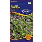 Bíborka virágmag bíborlila