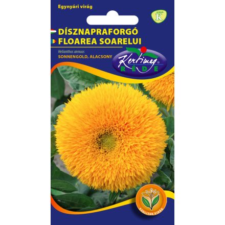 Dísznapraforgó virágmag Sonnengold alacsony 80 cm