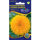 Dísznapraforgó virágmag magay Helianthus annuus