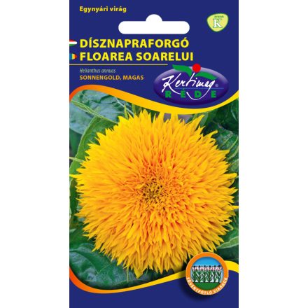 Dísznapraforgó virágmag magay Helianthus annuus
