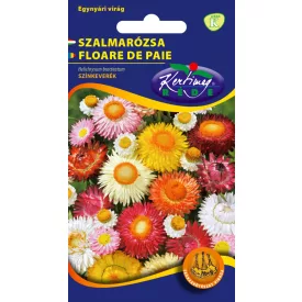 Szalmarózsa virágmag Helichrysum bracteatum színkeverék