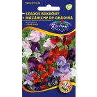 Szagos bükköny virágmag Lathyrus odoratus színkeverék