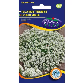Illatos ternye virágmag Lobularia maritima fehér