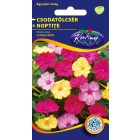 Csodatölcsér virágmag Mirabilis jalapa színkeverék