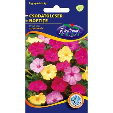 Csodatölcsér virágmag Mirabilis jalapa színkeverék