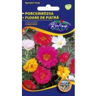 Porcsinrózsa féltelt virágú virágmag színkeverék