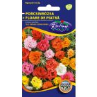 Porcsinrózsa virágmag 