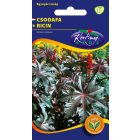 Csodafa virágmag piroslevelű Ricinus communis