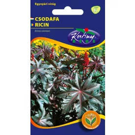 Csodafa virágmag piroslevelű Ricinus communis