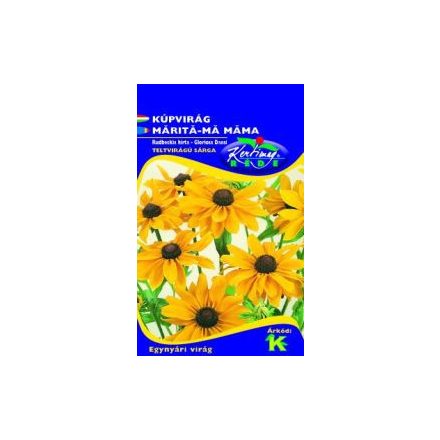 Kúpvirág virágmag Rudbeckia hirtagloriosa Daisy