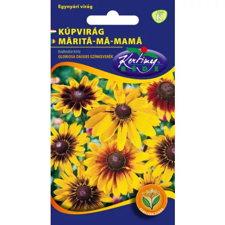 Kúpvirág virágmag Rudbeckia hirtagloriosa Daisy