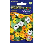 Feketeszem virágmag Thunbergia alata színkeverék