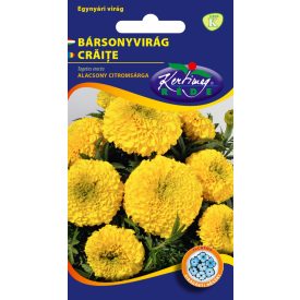 Bársonyvirág virágmag  nagyvirágú alacsony citromsárga