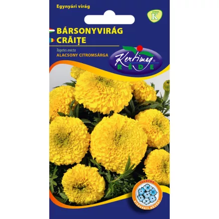 Bársonyvirág virágmag  nagyvirágú alacsony citromsárga