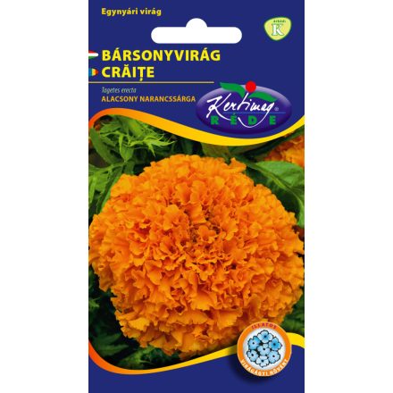Bársonyvirág virágmag  nagyvirágú alacsony narancssárga